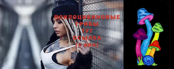 прущий лед Майский