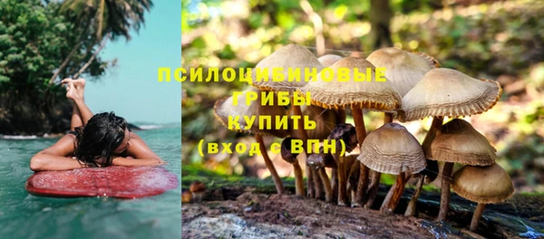 прущий лед Майский