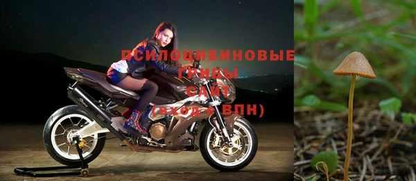 ALPHA PVP Липки