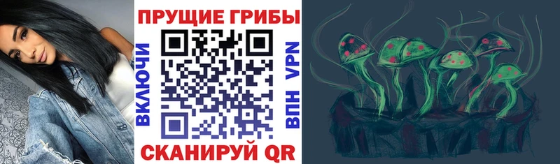 Псилоцибиновые грибы Cubensis  мега как зайти  Чапаевск  где можно купить наркотик 