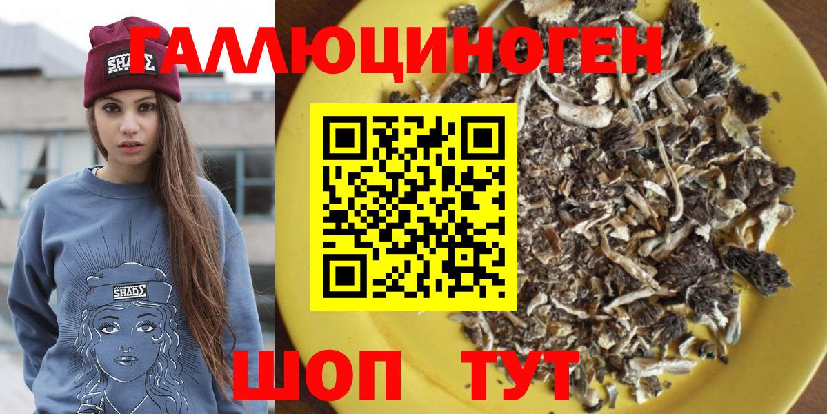 Чапаевск  Галлюциногенные грибы Psilocybe  Вход с VPN 