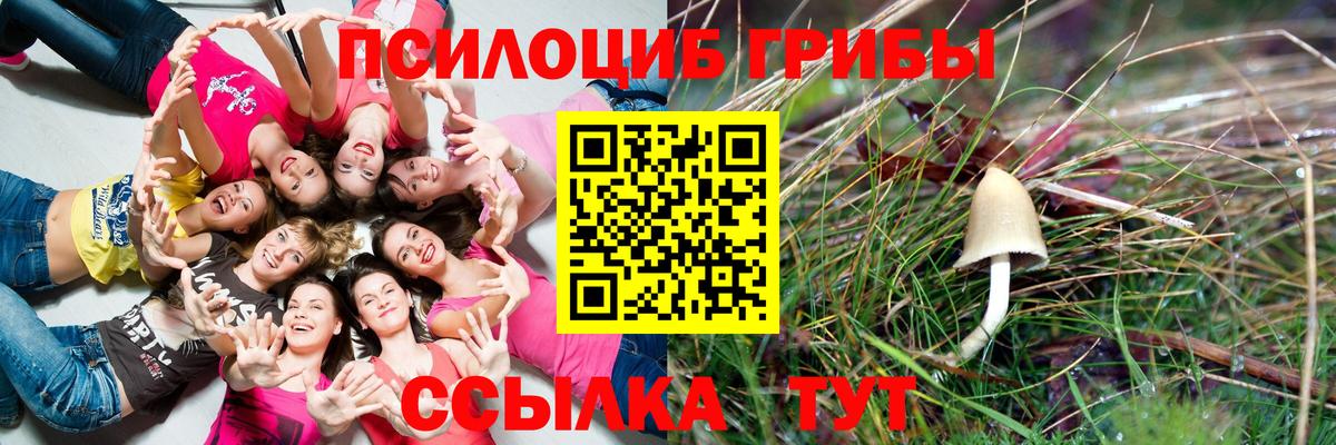 Галлюциногенные грибы MAGIC MUSHROOMS Чапаевск