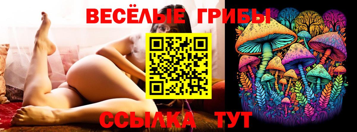 Псилоцибиновые грибы Psilocybe  Чапаевск 